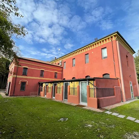 Masi
